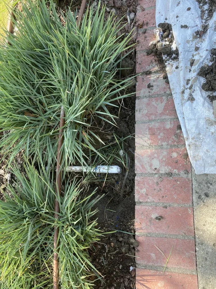 Local lawn mowing service for beautiful yards across Long Beach, CA - NextGen Landscaping