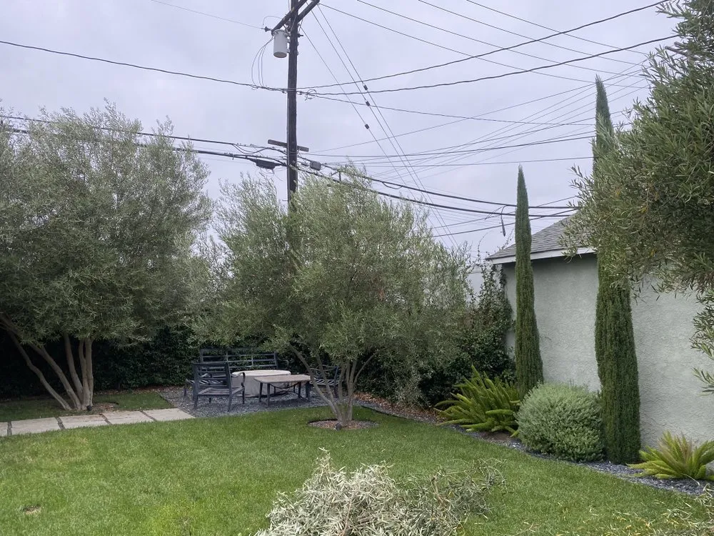 Custom landscaping services for beautiful yards in Long Beach, CA by NextGen Landscaping