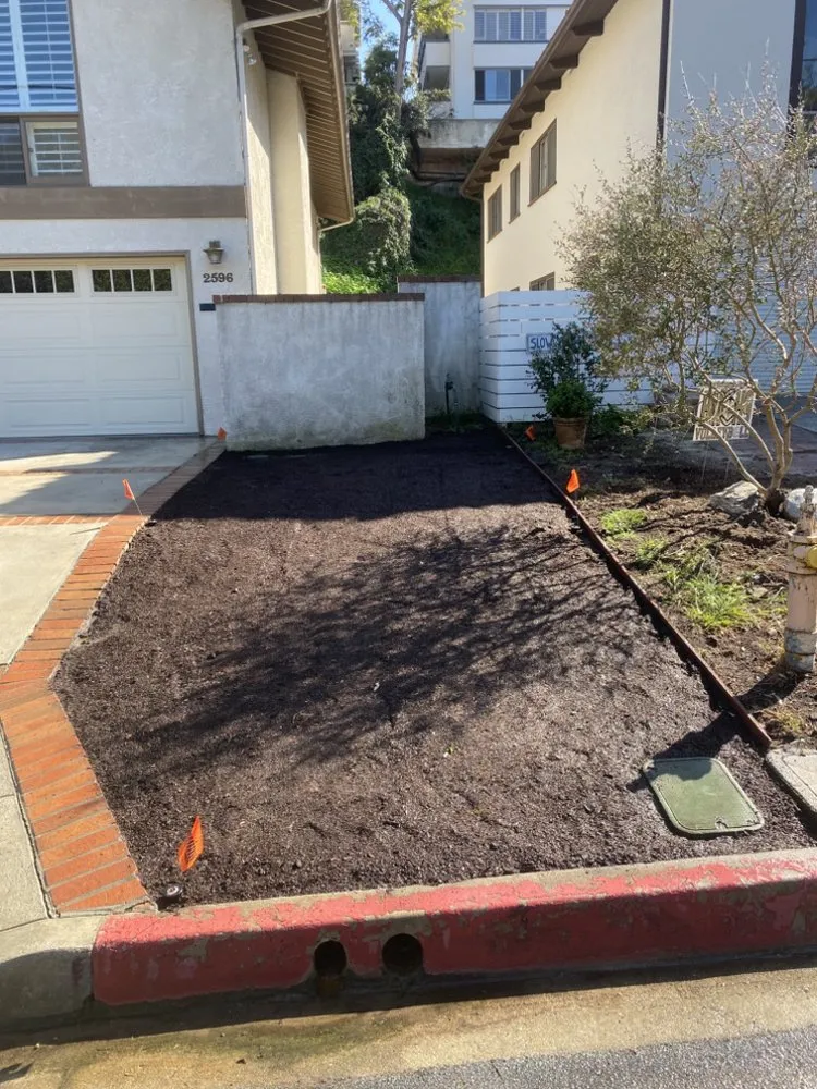 Reliable yard maintenance in Long Beach, CA - NextGen Landscaping