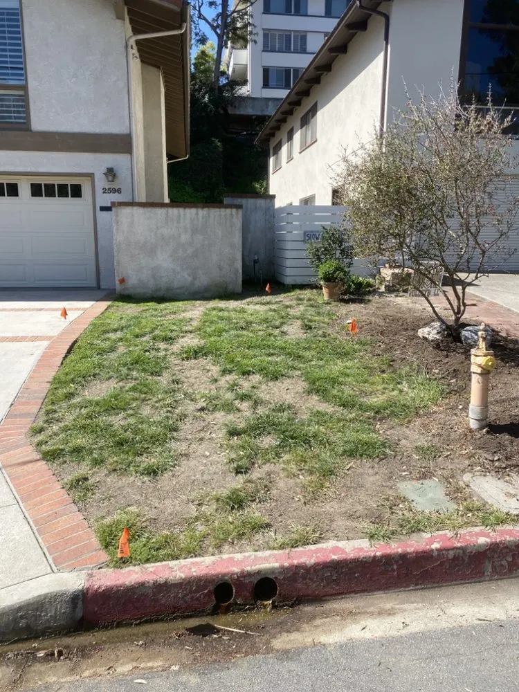 Affordable landscape design in Long Beach, CA - NextGen Landscaping