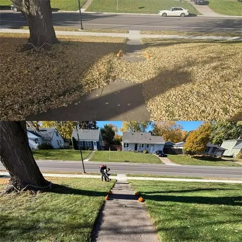 Affordable lawn mowing service for residential properties in Oakdale, MN by NextGen Property Solution