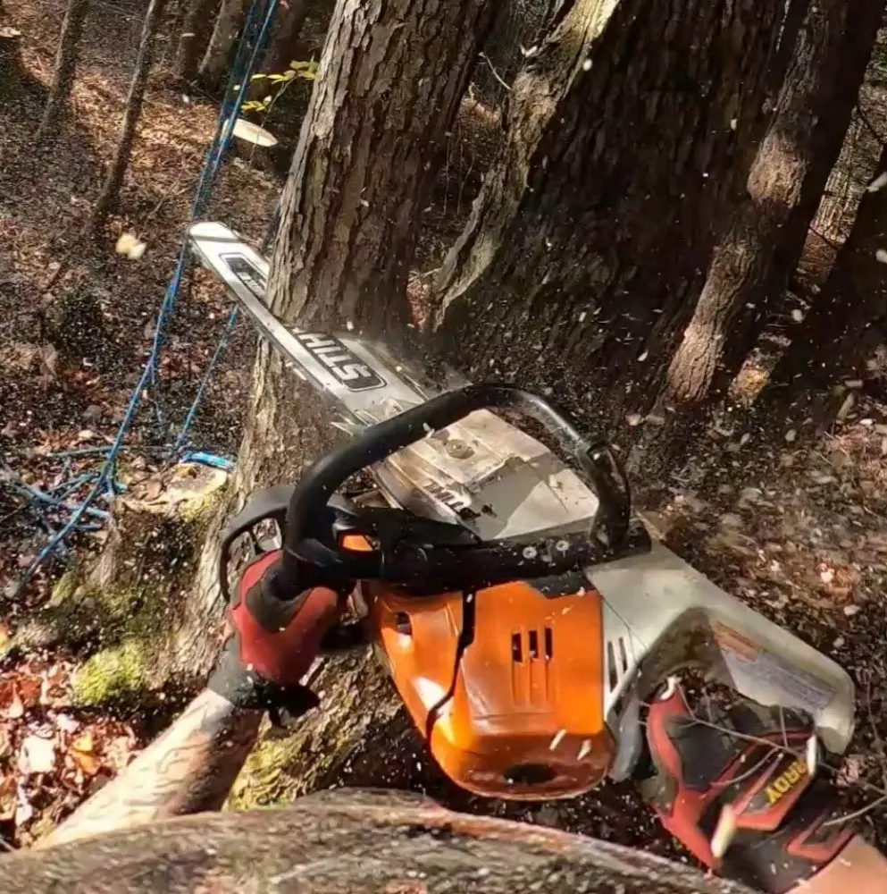 Reliable landscape design experts serving Suncook, NH - NextGen Services