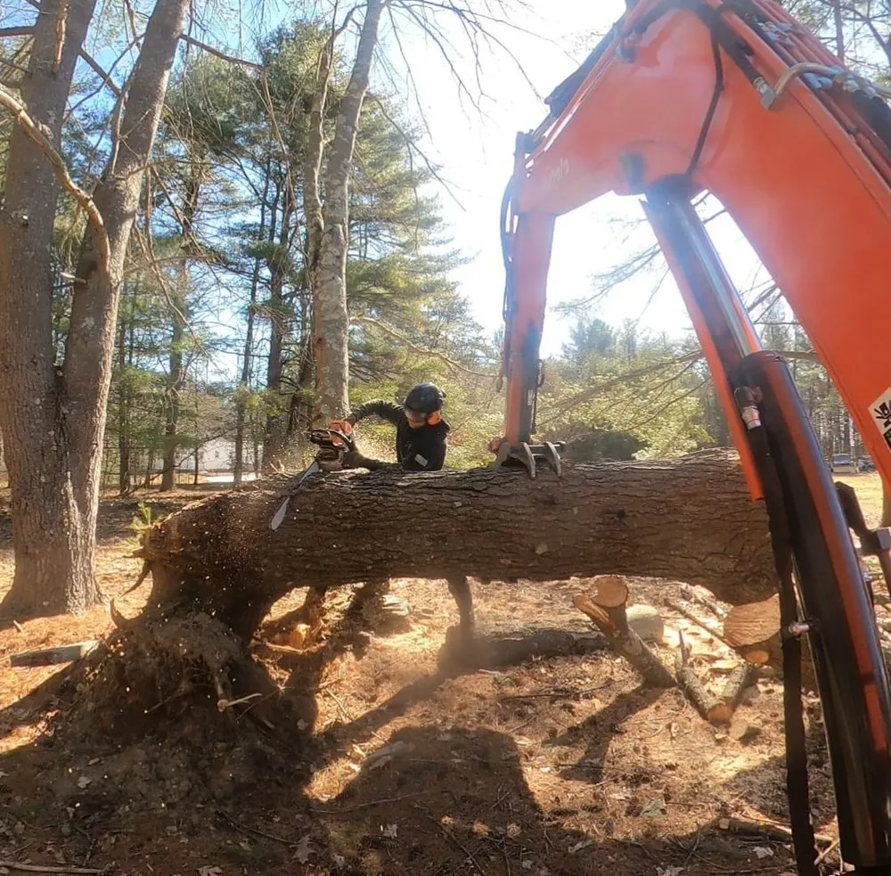 Professional lawn mowing service near you in Suncook, NH by NextGen Services