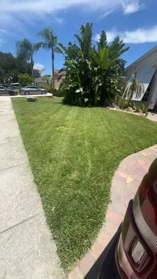 NextLevel Greens Logo