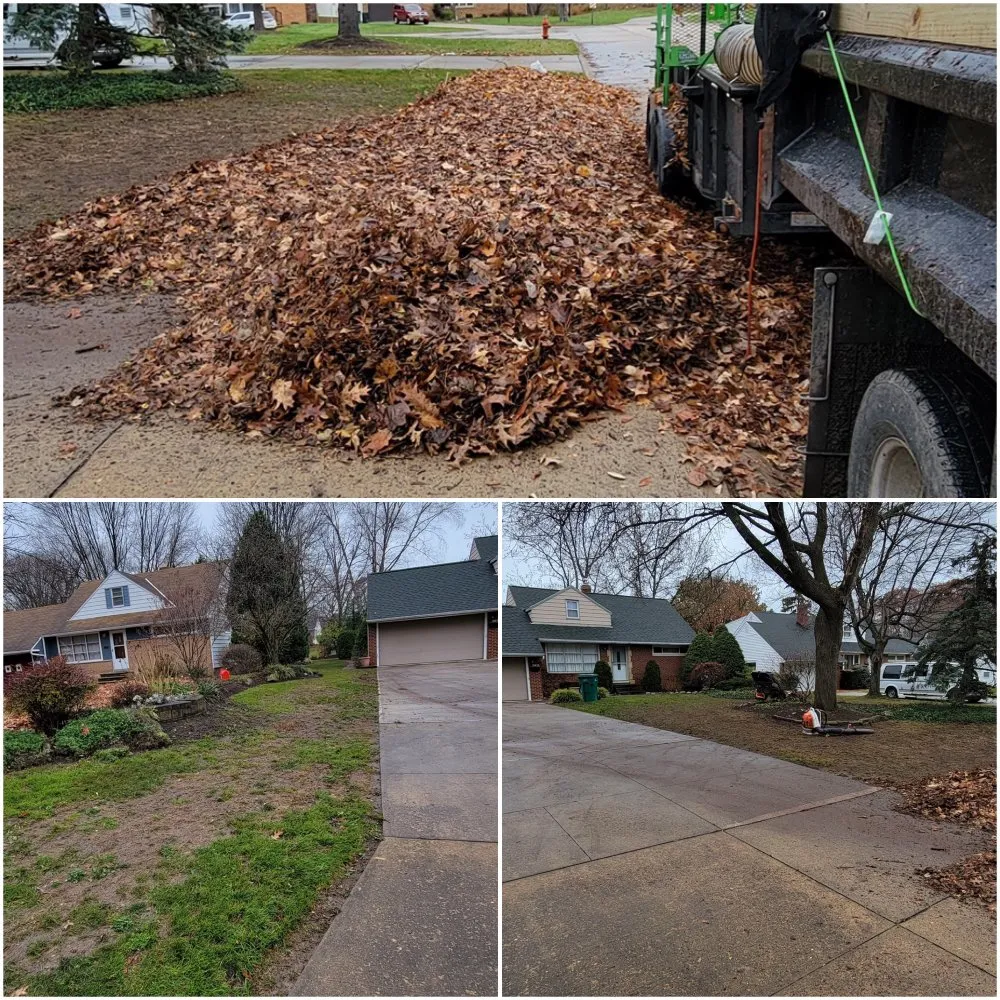 Affordable outdoor landscaping in Painesville, OH by NextLeveLandscape