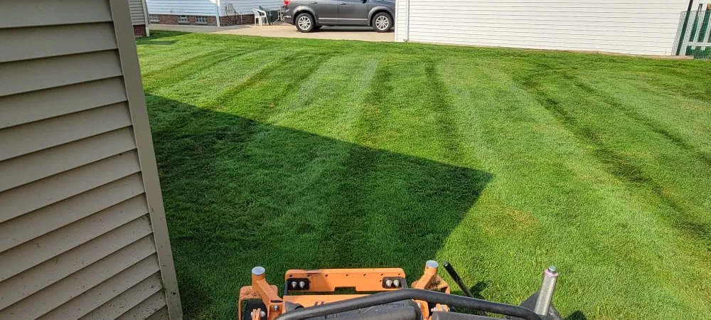 Local yard cleanup service experts serving Painesville, OH - NextLeveLandscape