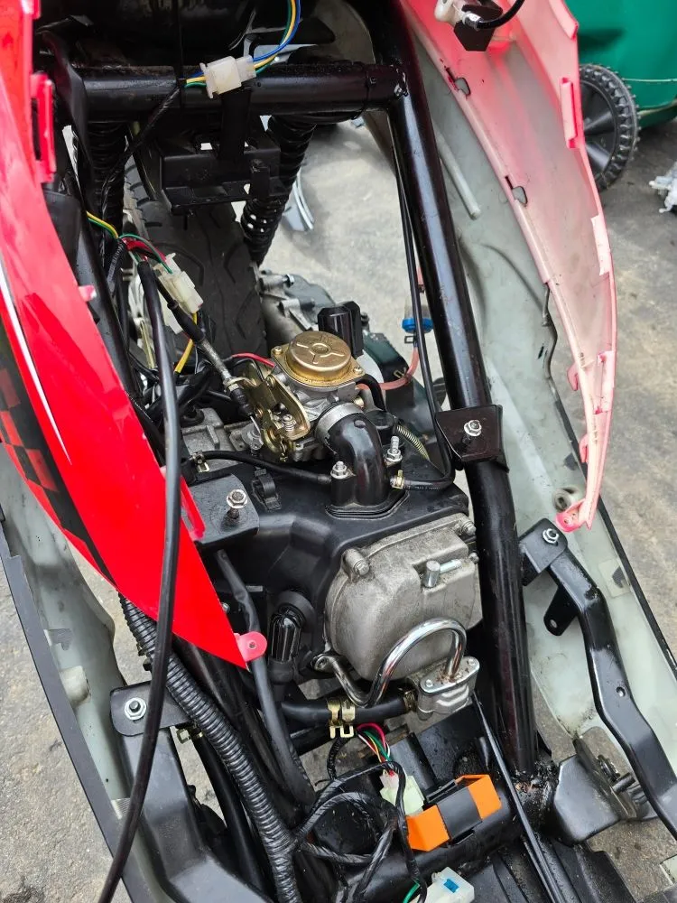 Professional yard cleanup service in Millbury, MA by Nextlife Solutions