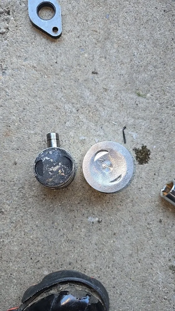 Reliable yard cleanup service experts serving Millbury, MA - Nextlife Solutions