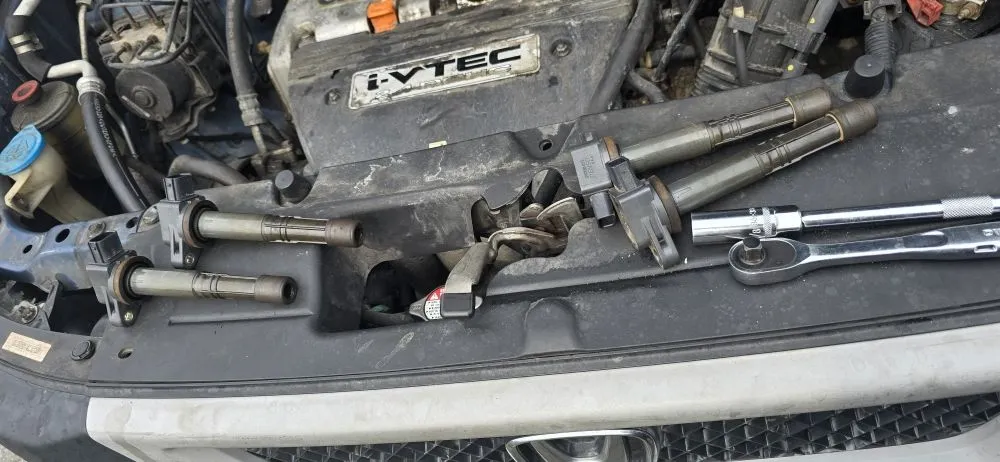 Expert residential landscaping in Millbury, MA by Nextlife Solutions