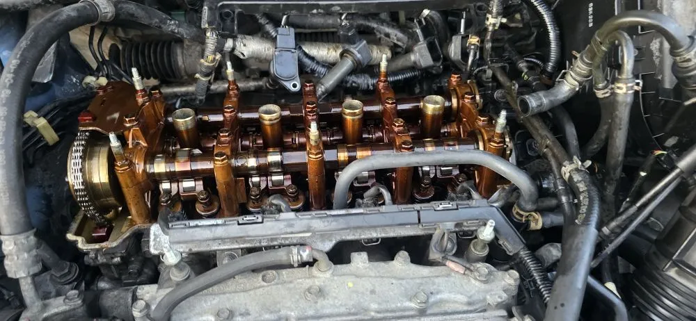 Reliable lawn mowing service with custom design in Millbury, MA by Nextlife Solutions