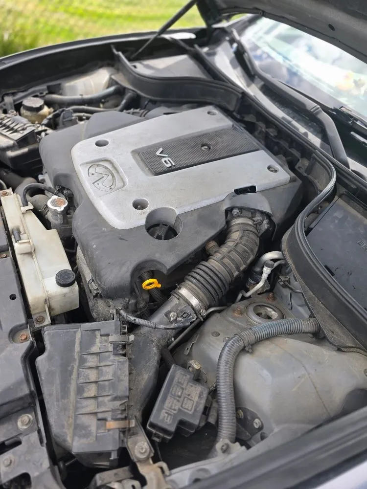 Reliable landscape installation in Millbury, MA - Nextlife Solutions