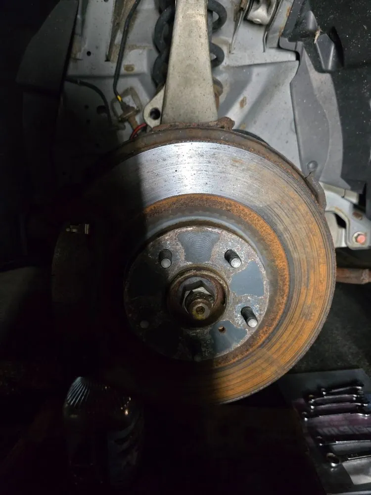 Professional yard cleanup service for residential properties across Millbury, MA - Nextlife Solutions