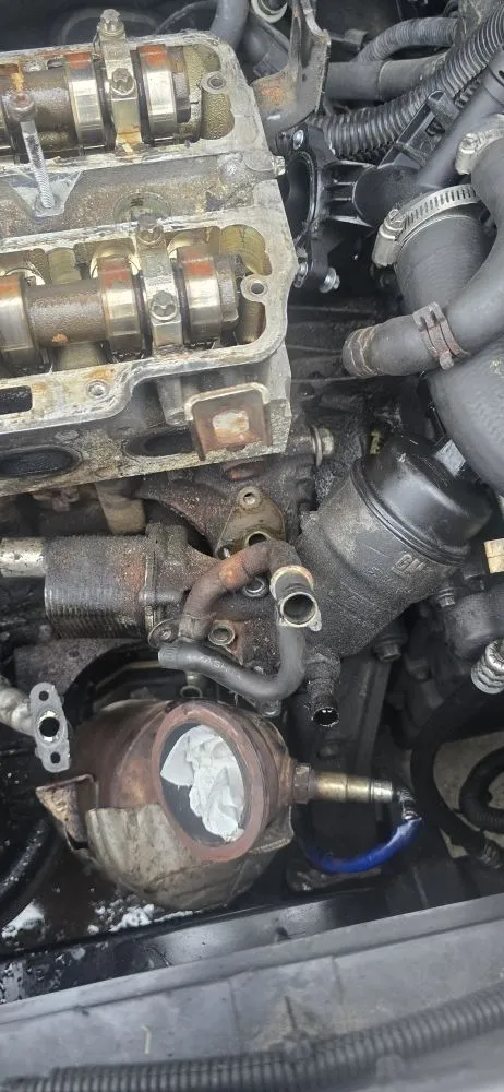 Trusted lawn care service in Millbury, MA - Nextlife Solutions