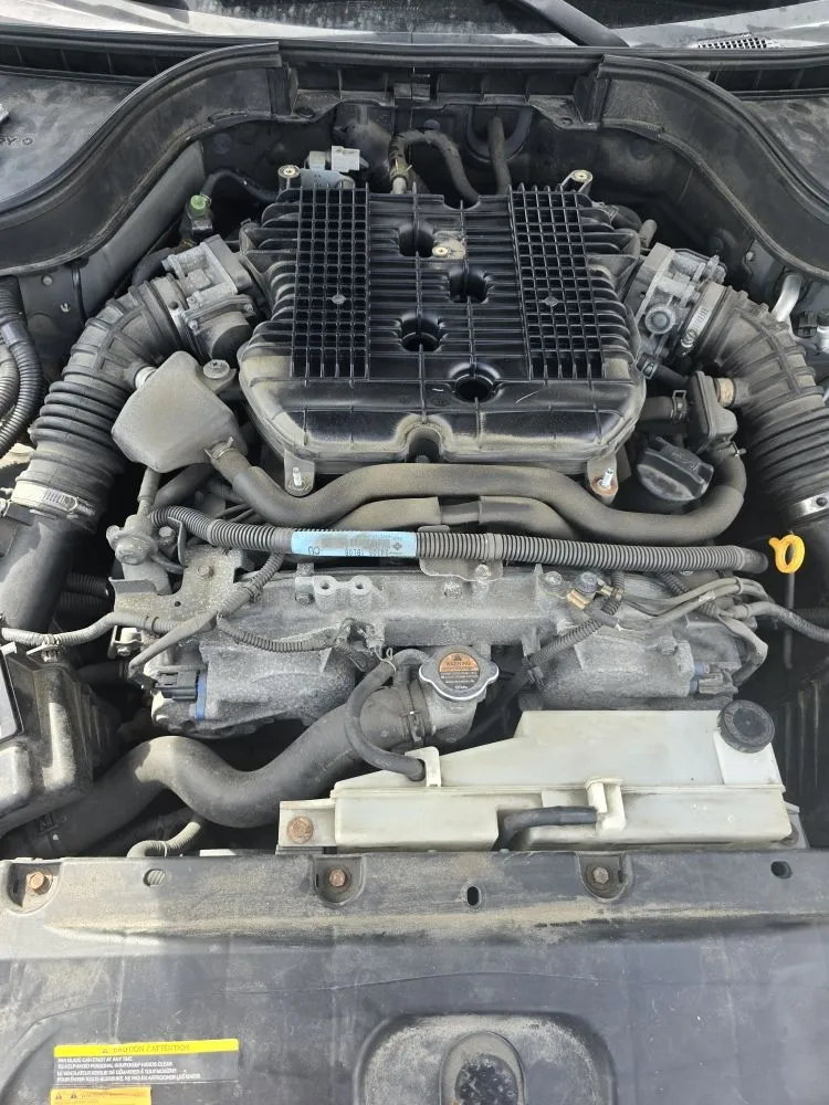 Top-rated garden landscaping in Millbury, MA - Nextlife Solutions