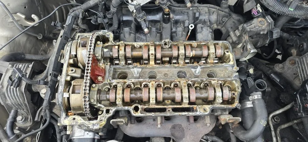 Top-rated landscaping services in Millbury, MA - Nextlife Solutions