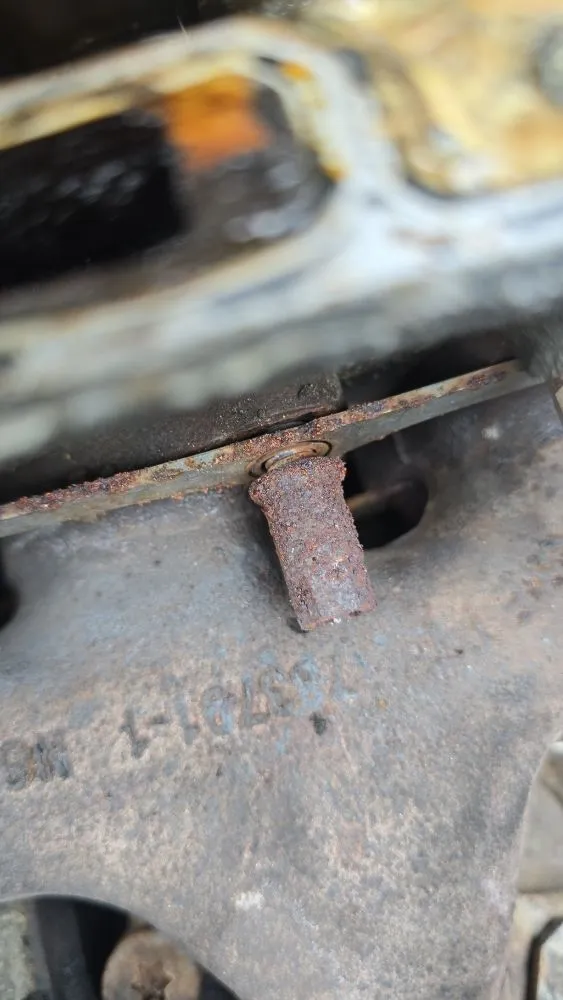 Top-rated landscape installation for year-round maintenance across Millbury, MA - Nextlife Solutions