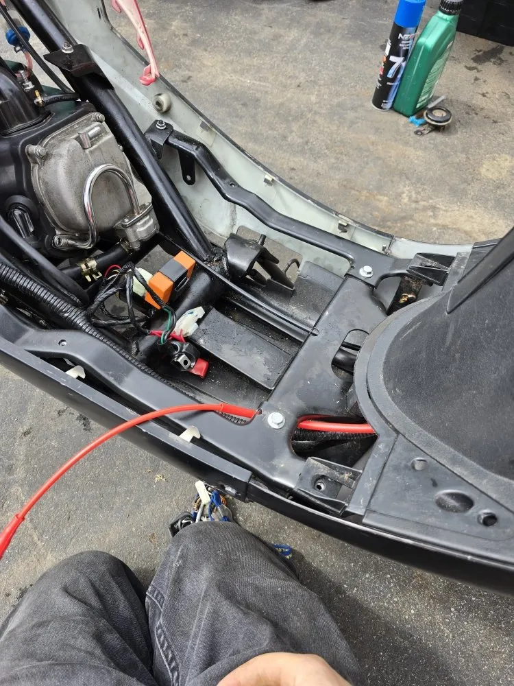 Local garden landscaping for beautiful yards in Millbury, MA by Nextlife Solutions