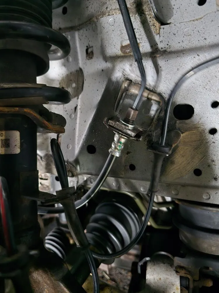 Affordable lawn care service in Millbury, MA - Nextlife Solutions