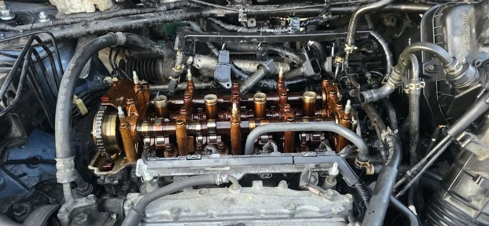 Trusted lawn mowing service for year-round maintenance across Millbury, MA - Nextlife Solutions