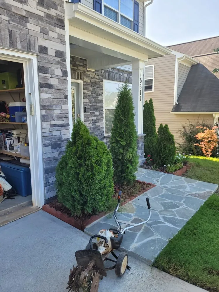 Professional lawn care service in Charlotte, NC by NEXUS Construction Landscaping