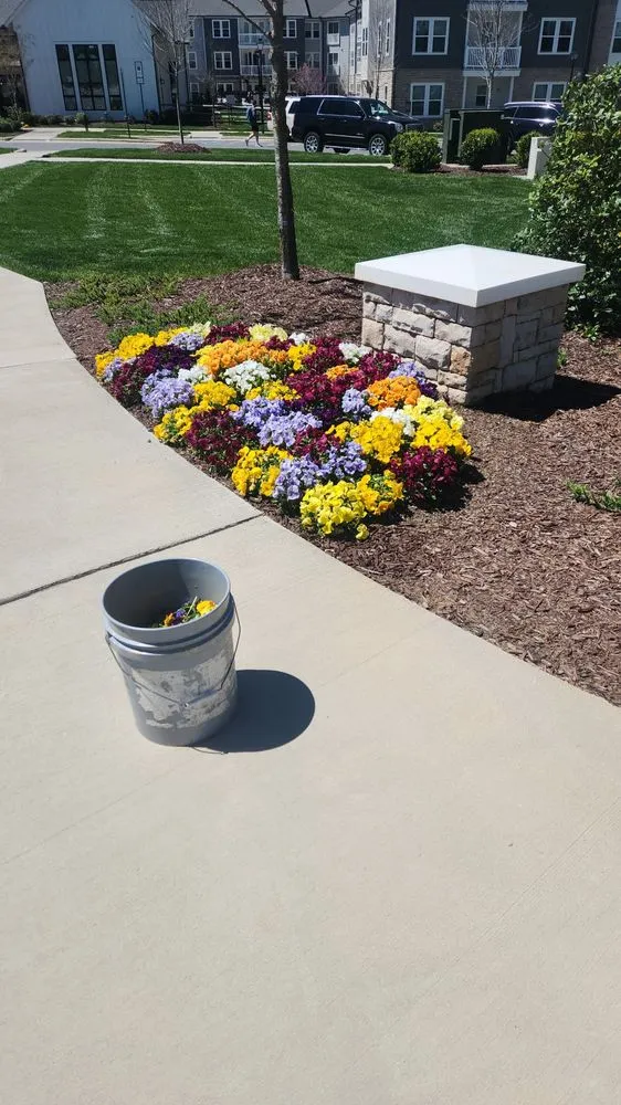 Affordable landscaping services in Charlotte, NC - NEXUS Construction Landscaping