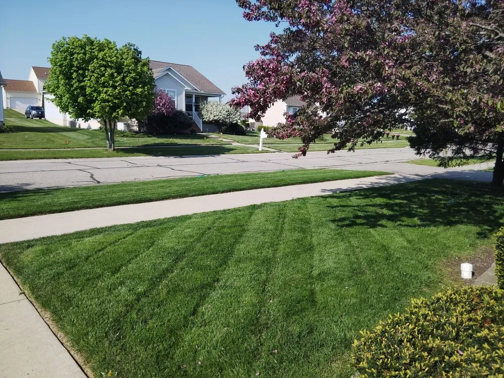 Local landscaping services in Flushing, MI by Nexus Landscape & Lawncare