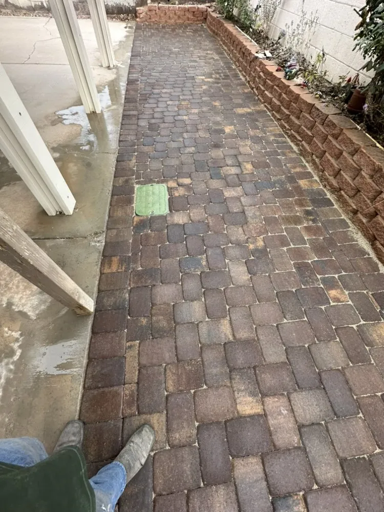 Reliable yard maintenance in Las Vegas, NV by Nexx Gen Landscape & Maintenance