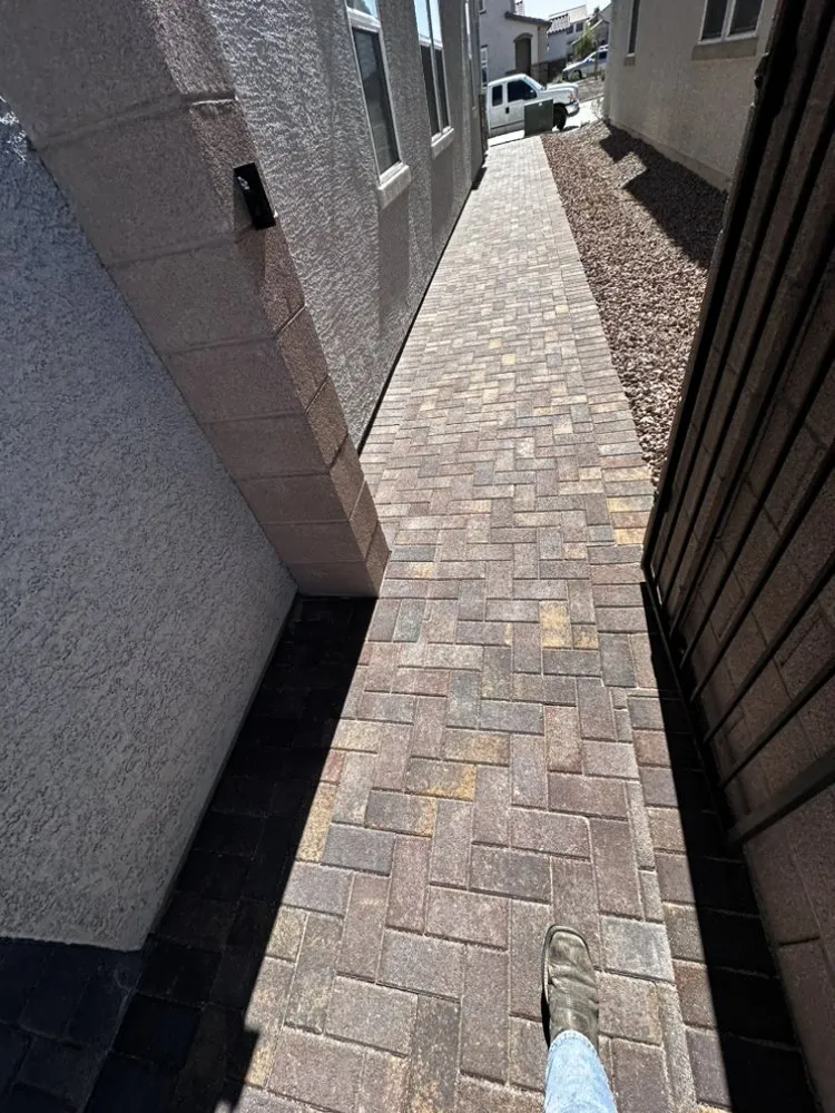 Professional landscaping services for year-round maintenance in Las Vegas, NV by Nexx Gen Landscape & Maintenance