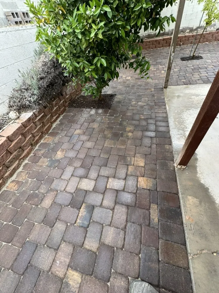 Affordable yard maintenance experts serving Las Vegas, NV - Nexx Gen Landscape & Maintenance