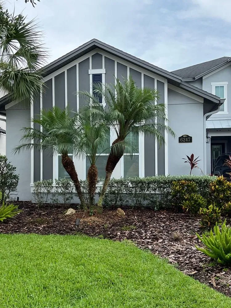 Reliable lawn care service in Orlando, FL - NF Services