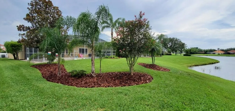Custom lawn care service near you across Orlando, FL - NF Services