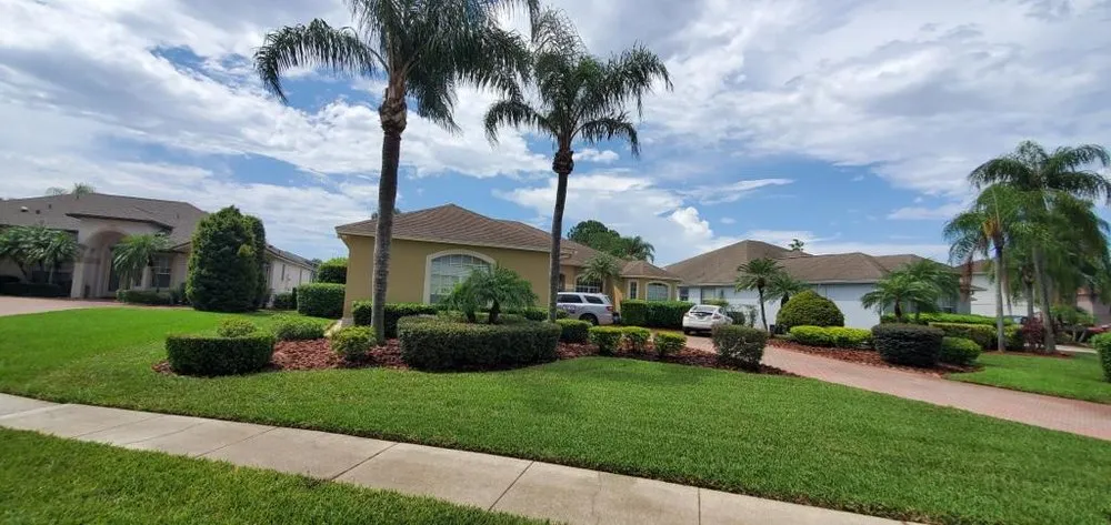 Affordable lawn care service for year-round maintenance in Orlando, FL by NF Services