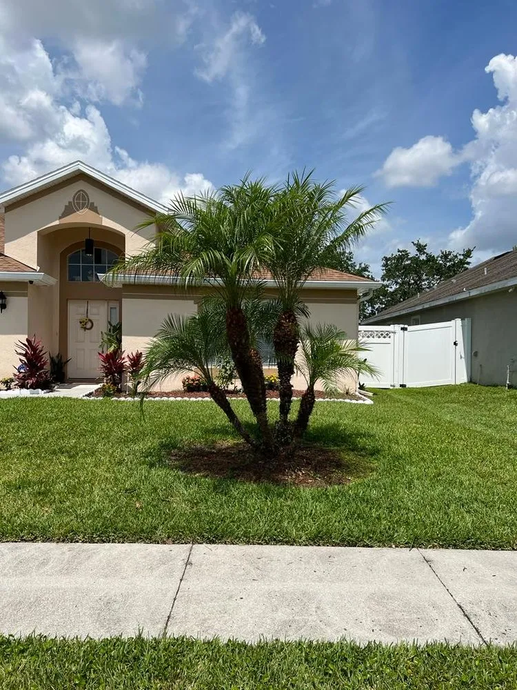 Professional landscape design experts serving Orlando, FL - NF Services