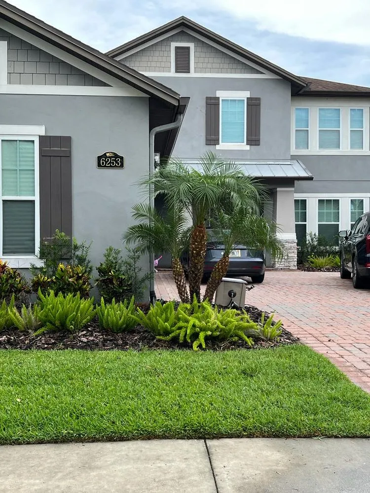 Top-rated outdoor landscaping experts serving Orlando, FL - NF Services