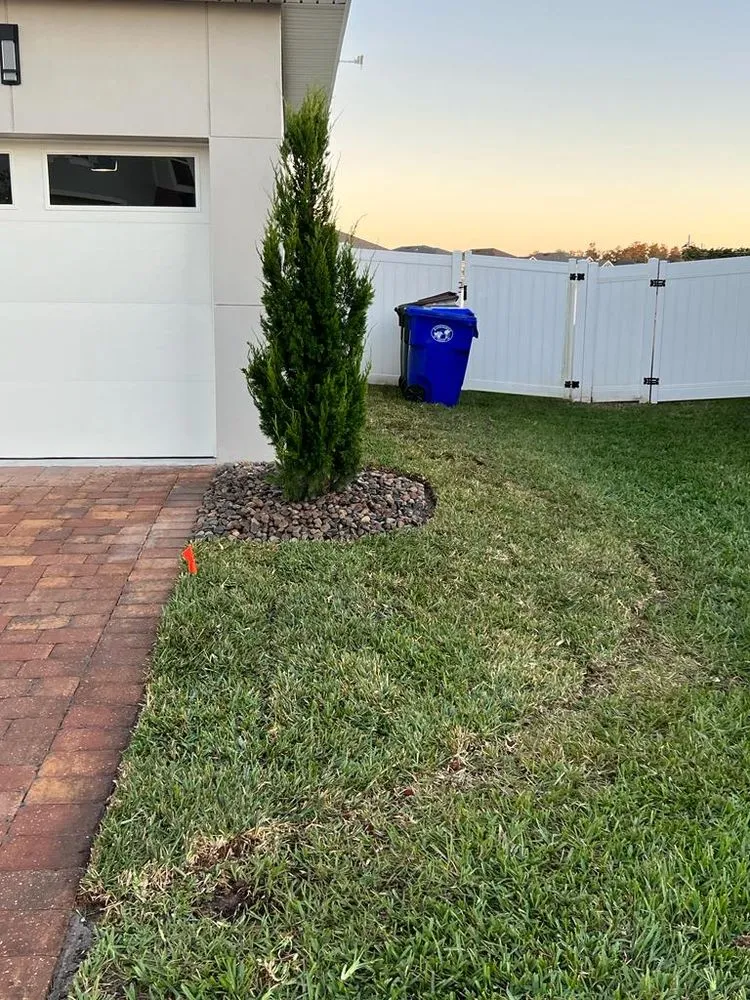 Trusted lawn care service for homes across Orlando, FL - NF Services