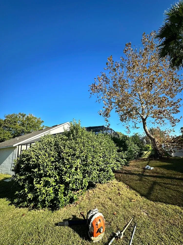 Trusted lawn care service with custom design in Orlando, FL by Nfp Outdoor Solutions Company