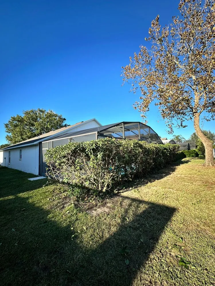 Custom landscape design in Orlando, FL by Nfp Outdoor Solutions Company