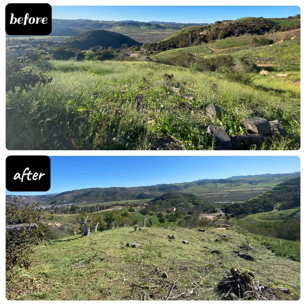 Reliable yard maintenance in Bonsall, CA - N&G Landscaping and Tree Service