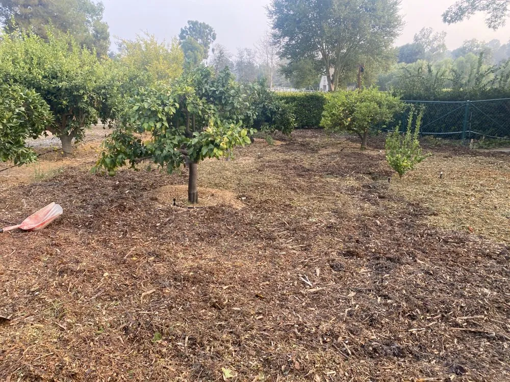 Professional lawn care service in Bonsall, CA by N&G Landscaping and Tree Service