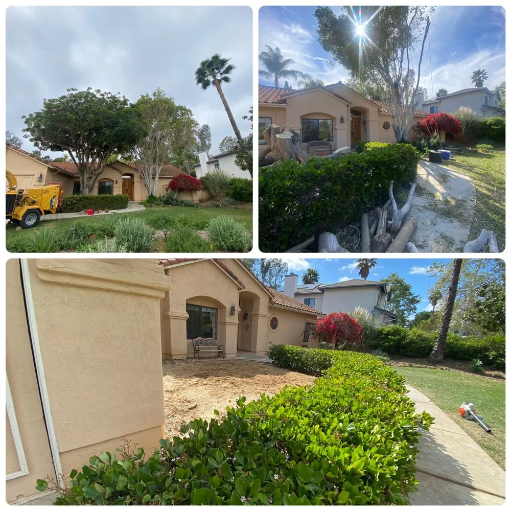 Top-rated lawn care service experts serving Bonsall, CA - N&G Landscaping and Tree Service