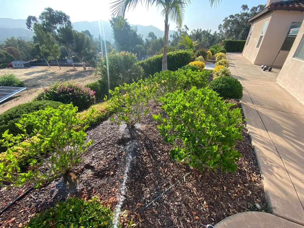 Custom yard cleanup service experts serving Bonsall, CA - N&G Landscaping and Tree Service