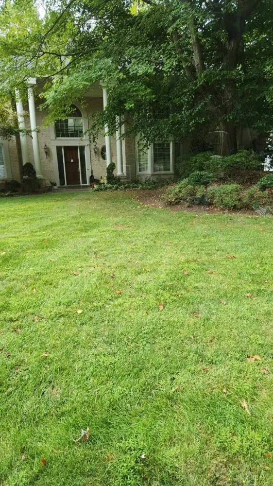 Reliable yard cleanup service in Manassas, VA - N&G Landscaping Services