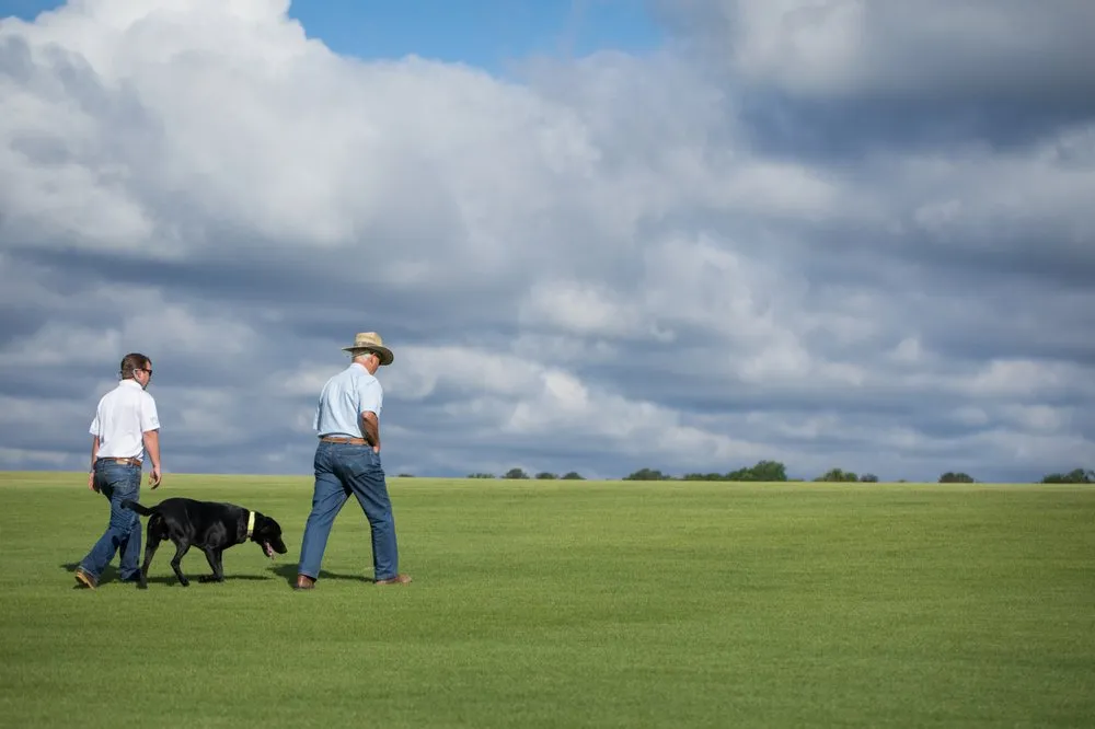 Professional lawn care service experts serving Fort Valley, GA - NG Turf