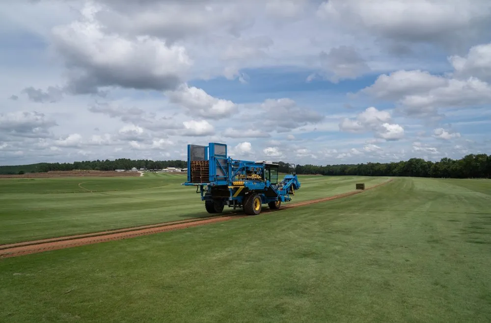 Expert landscape design experts serving Fort Valley, GA - NG Turf
