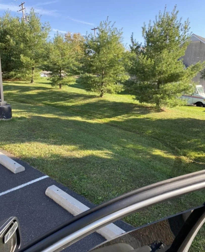 Top-rated residential landscaping near you across Philadelphia, PA - NGC Demo