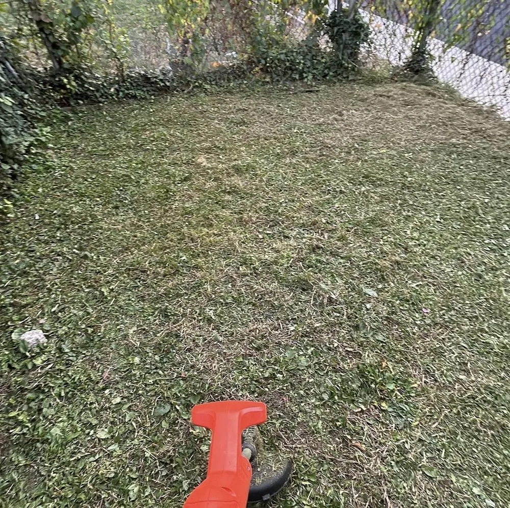 Top-rated landscape design with custom design across Philadelphia, PA - NGC Demo