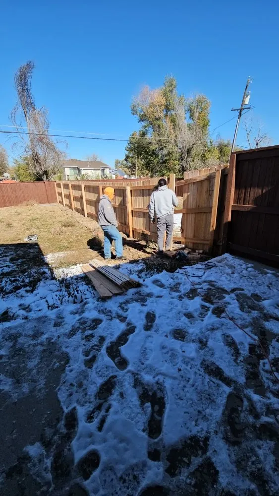 Trusted landscape installation in Aurora, CO by NGL Landscaping & More