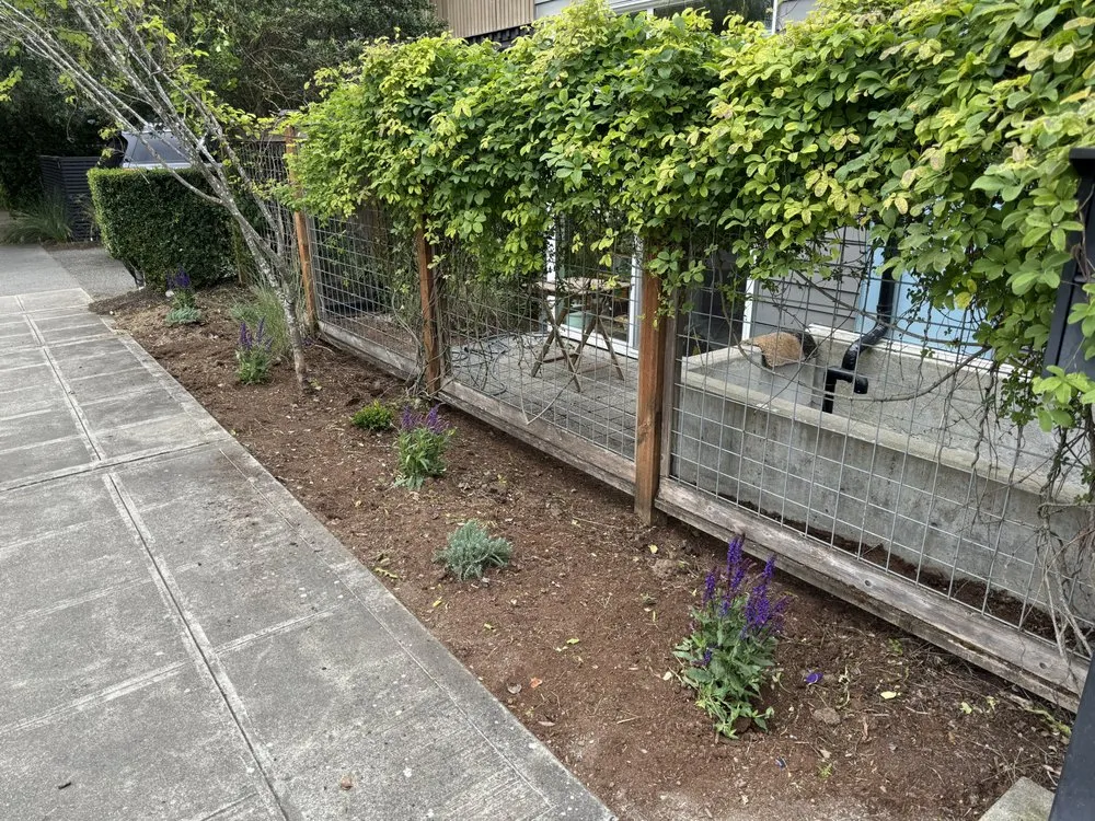 Trusted yard maintenance experts serving Seattle, WA - Ngn Landscape