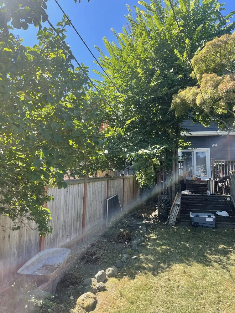 Trusted landscape installation in Seattle, WA by Ngn Landscape