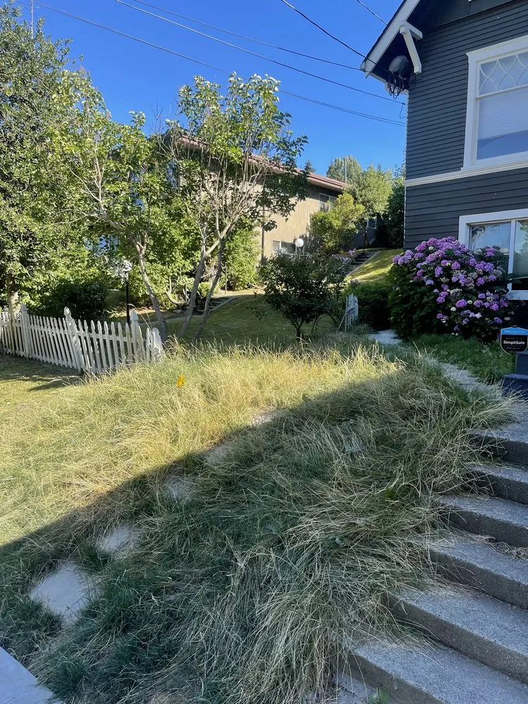 Expert outdoor landscaping experts serving Seattle, WA - Ngn Landscape